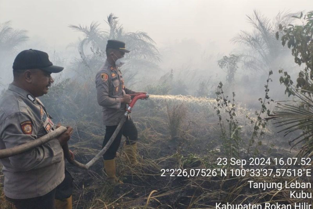 25 hektare lahan di Kubu Rohil terbakar