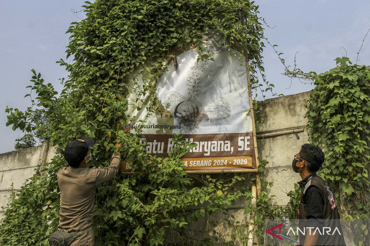 Penertiban APK Pilkada 2024 di Kota Serang