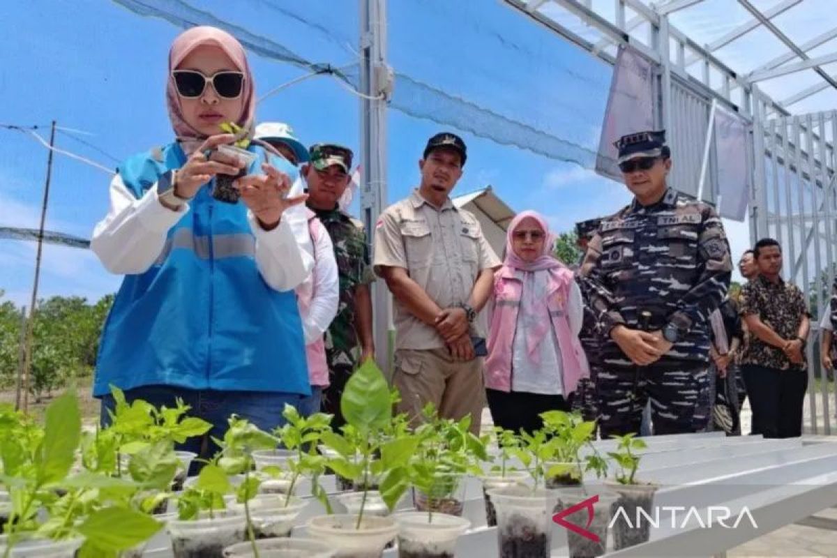 PLN Babel dukung kemandirian ekonomi warga pesisir Bangka Barat