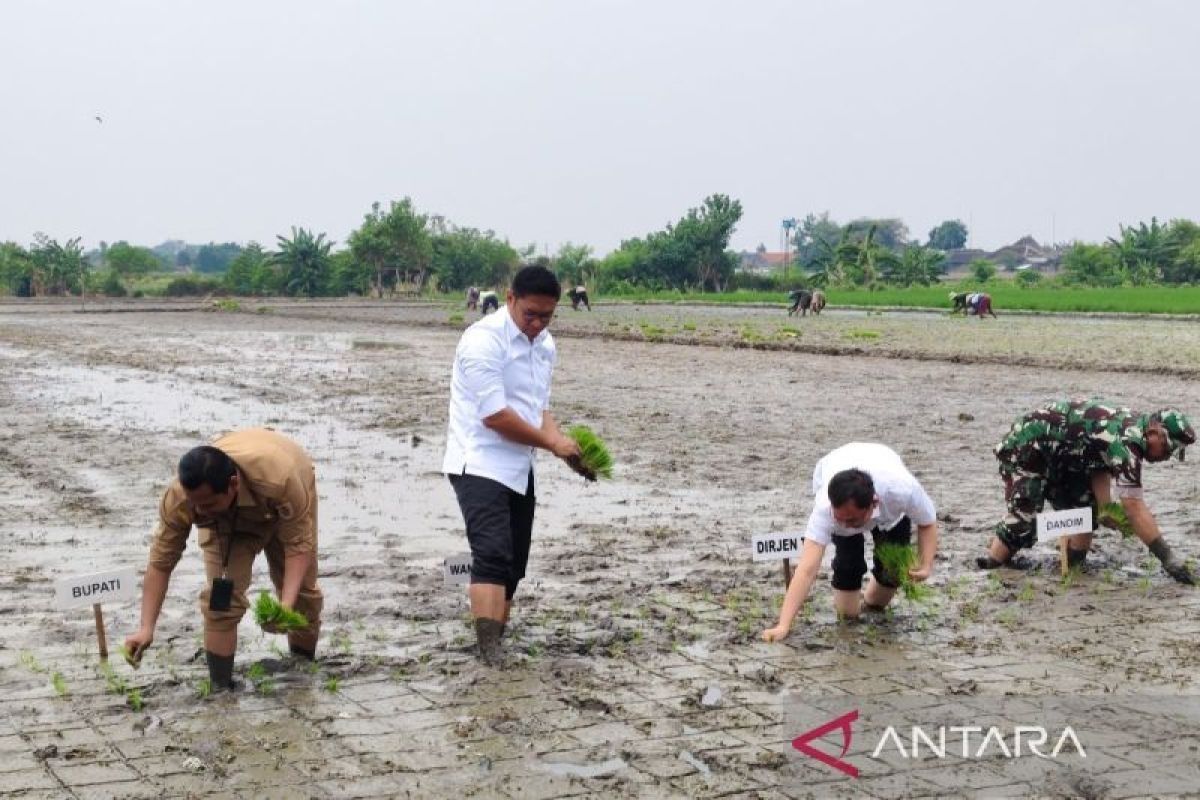 Wakil Menteri Pertanian Sudaryono serap aspirasi petani di Klaten