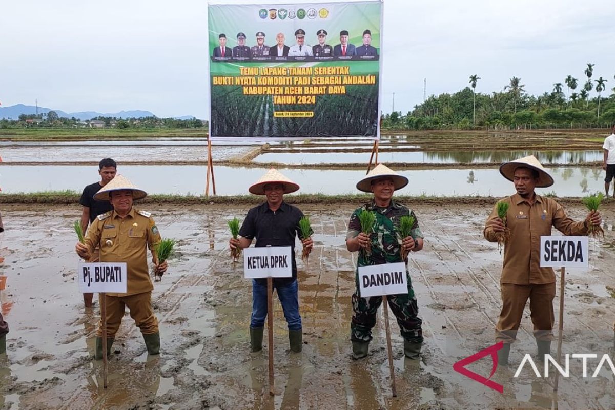 Pj bupati luncurkan program tanam padi serentak 2024 di Abdya