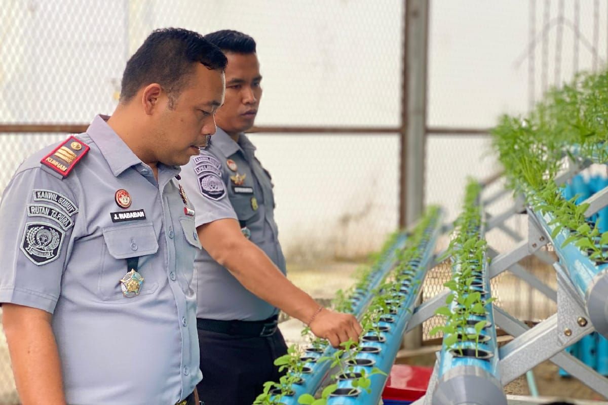 Kepala Rutan Tanjung Pura kontrol tanaman hidroponik warga binaan