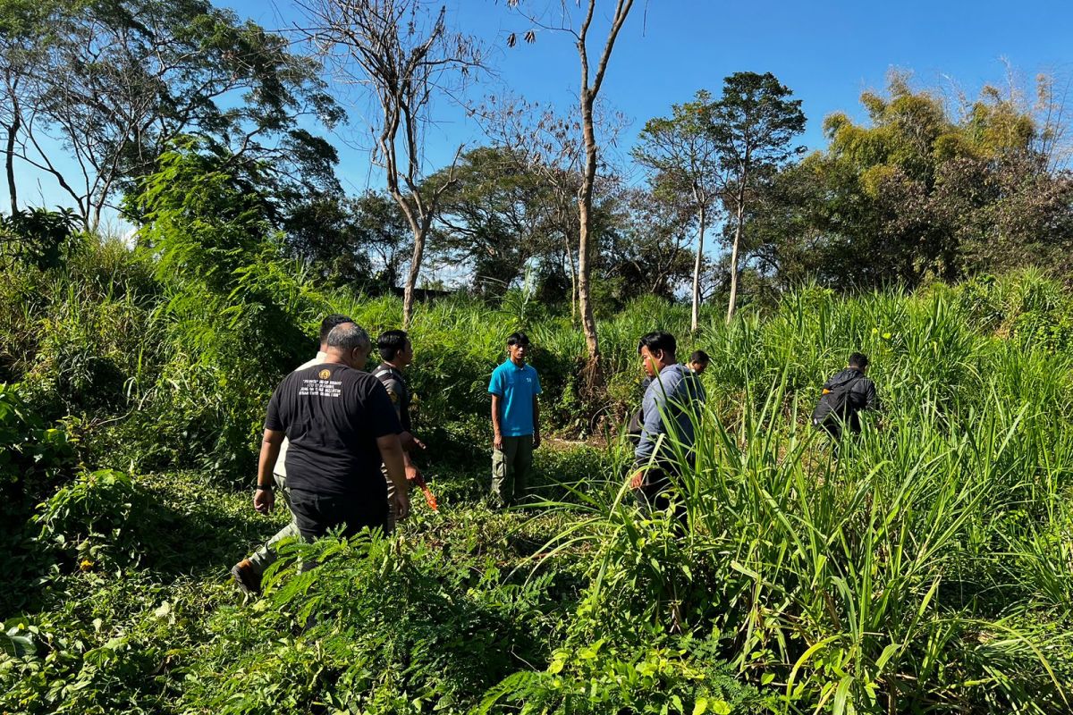 Polisi jelaskan insiden pegawai Bali Safari diseruduk gajah hingga tewas