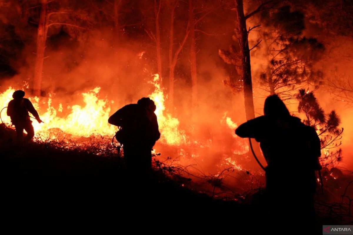 Gubernur New York menyatakan status darurat akibat kebakaran hutan