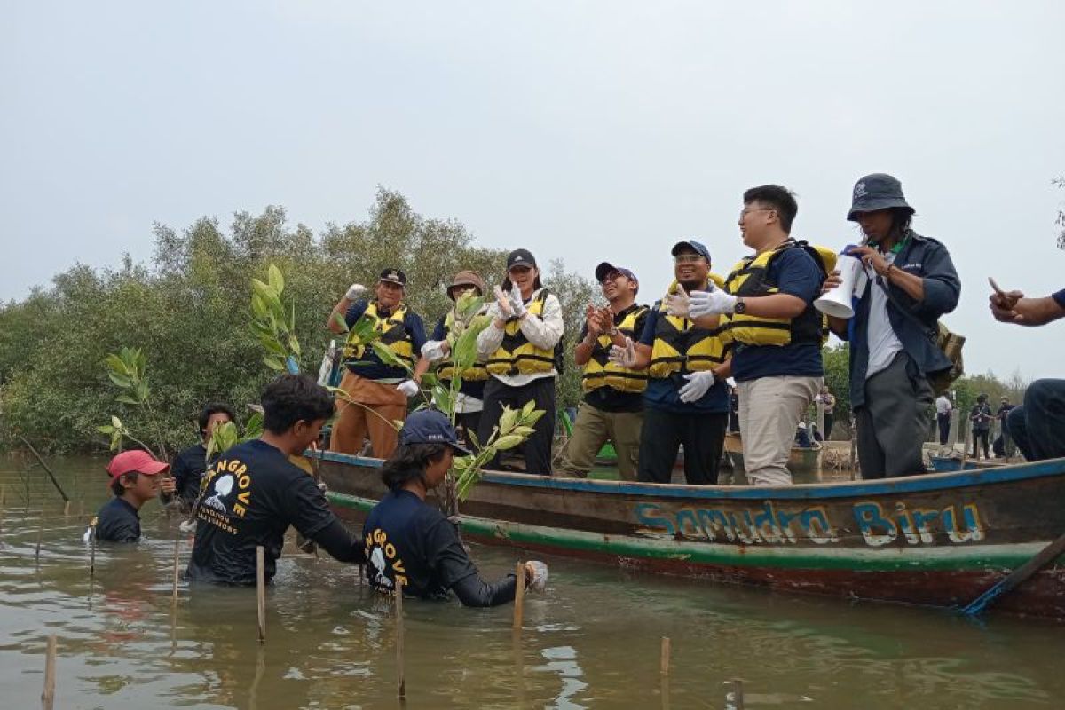 FishLog tanam 5.000 mangrove di Muara Gembong Bekasi lewat Catalytic Fund Program 2024