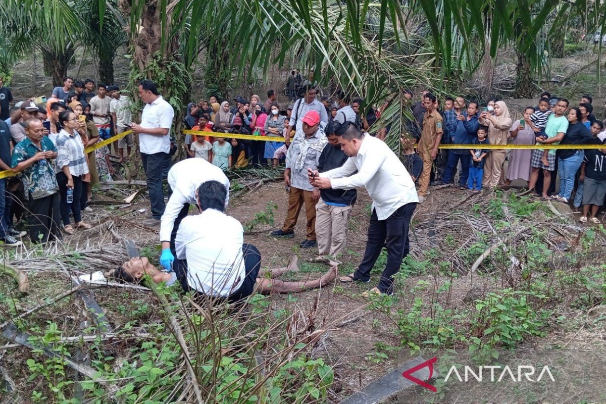 Geger temuan mayat di areal perkebunan, ini kronologisnya