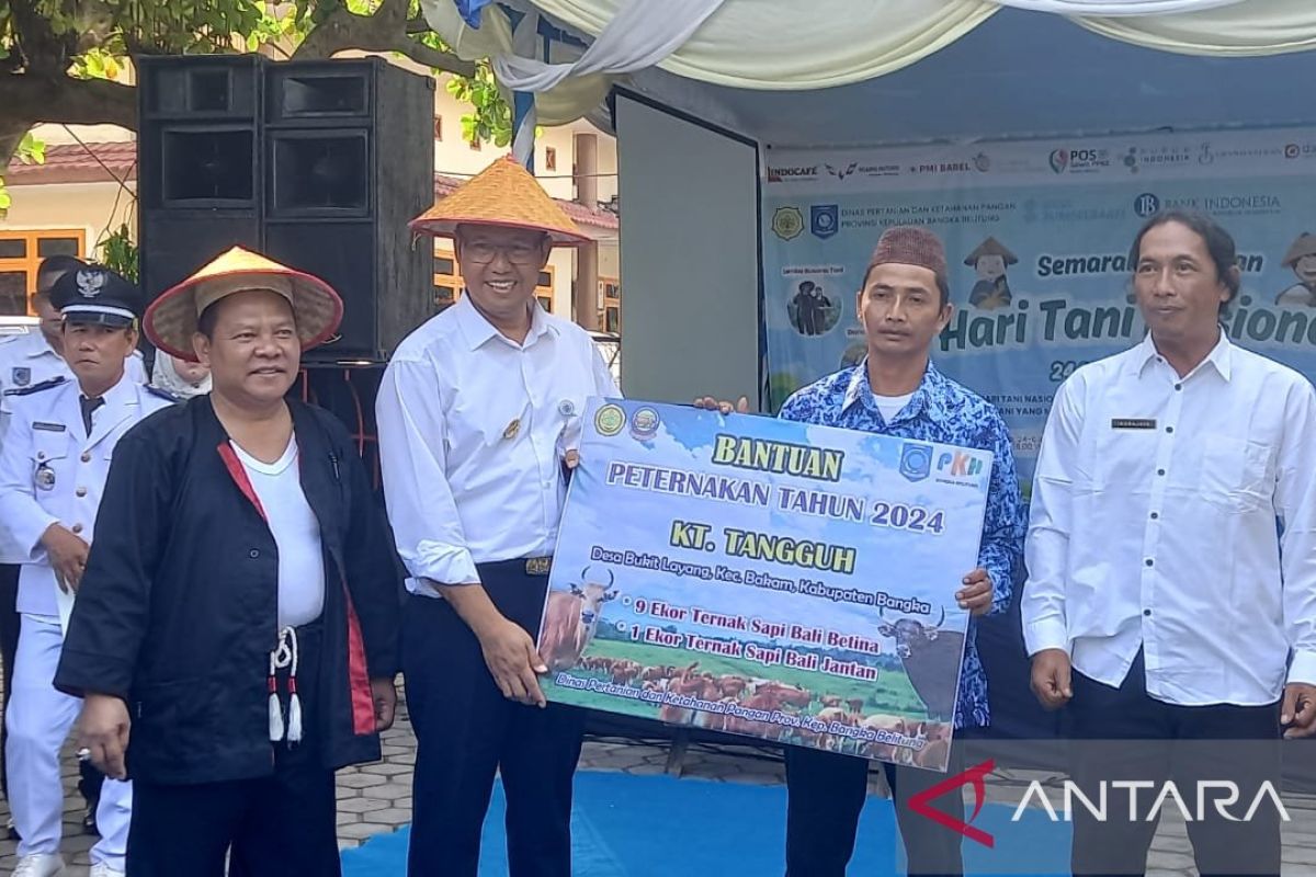 Pj Gubernur Babel serahkan 60 ekor sapi bantu kelompok tani