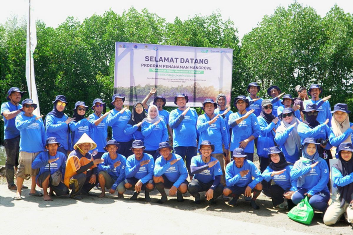 SPJM Pelindo realisasikan penanaman 45.000 bibit mangrove