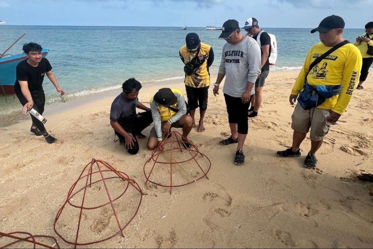 South Kalimantan transplants coral reefs in Kotabaru conservation area