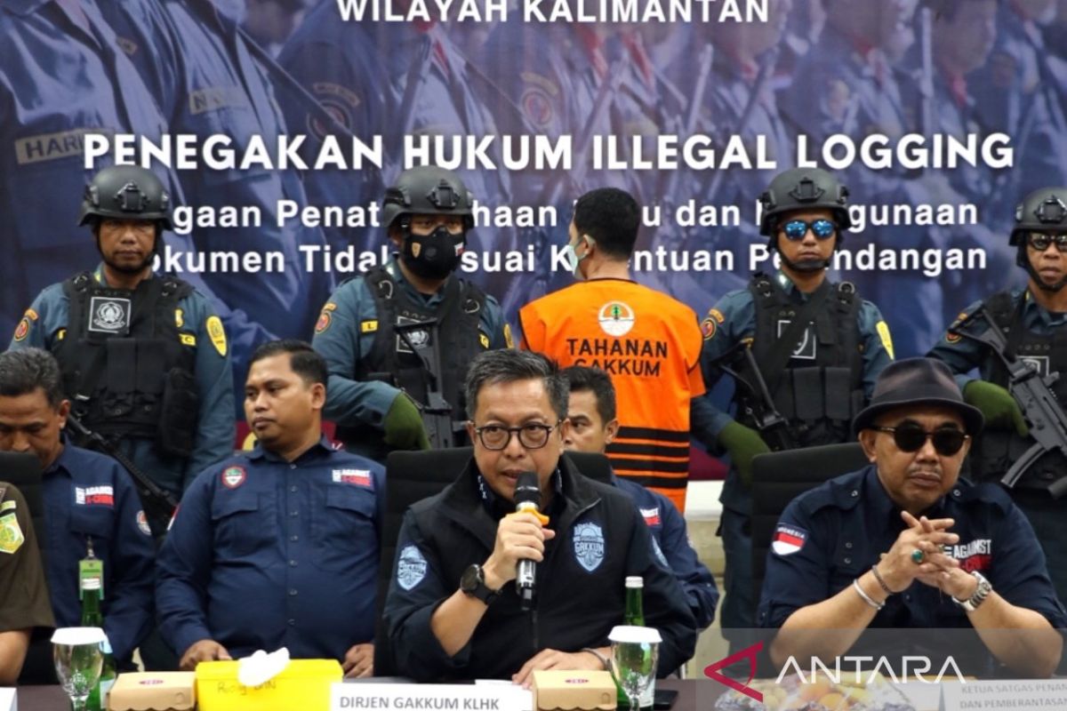 KLHK Tangkap buron pelaku kayu ilegal di Berau Kalimantan Timur