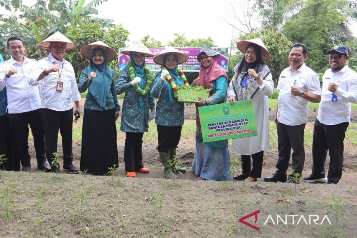 Berikan 1.000 bibit cabai, Pj Ketua TP PKK puji wanita hebat produktif di KWT Cemara