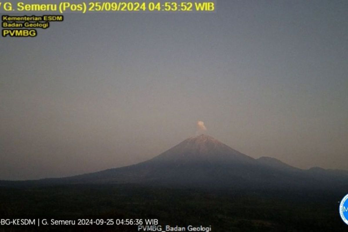 Gunung Semeru beberapa kali erupsi dengan tinggi letusan 600 meter