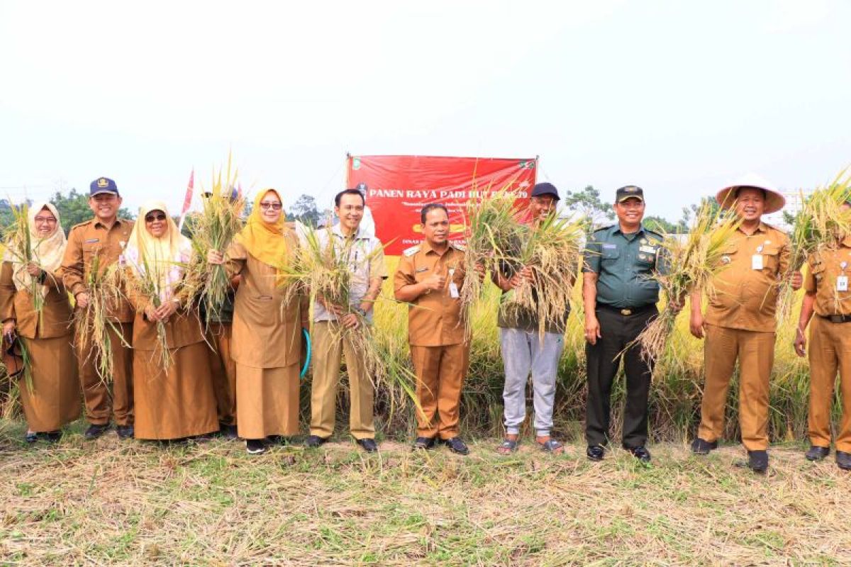 Semester satu, petani Kota Tangerang panen padi 750 ton padi