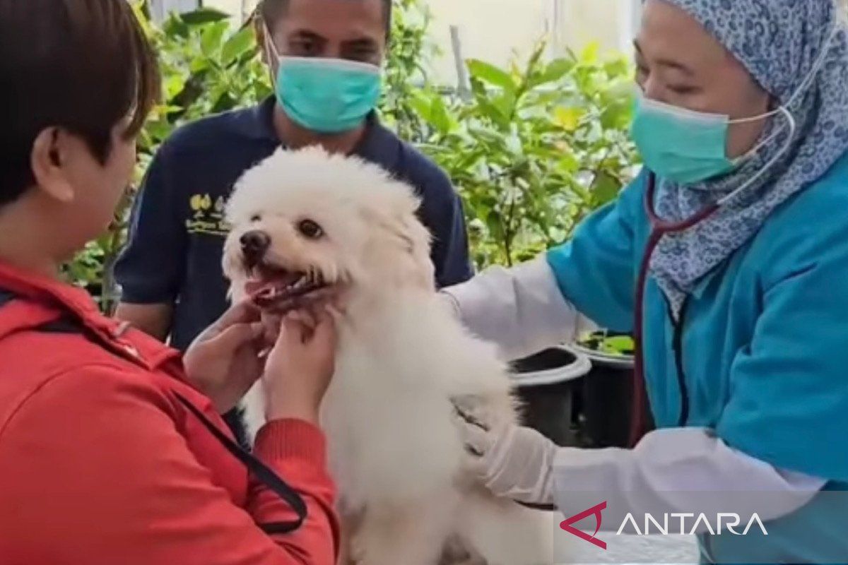 DKPP Kota Bogor siapkan ratusan dosis vaksin rabies untuk peringatan WRD