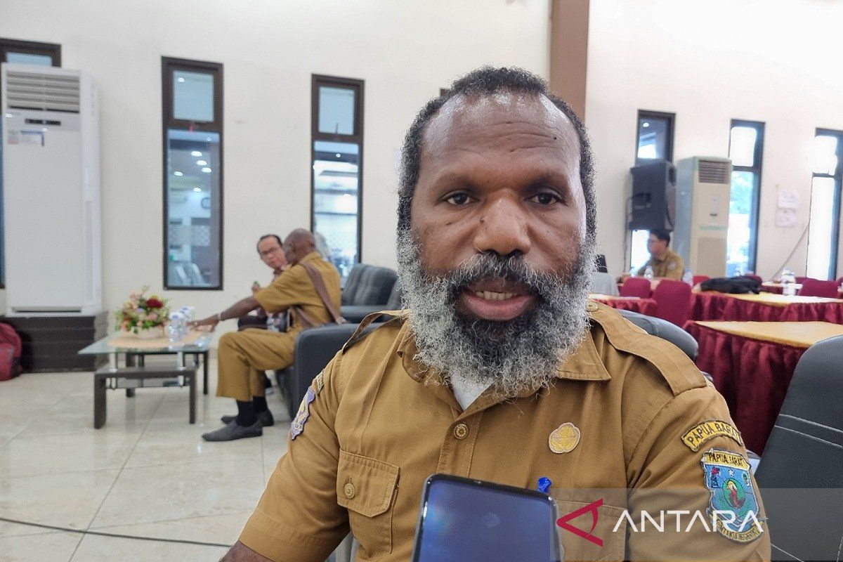 DPMK Papua Barat upayakan bentuk Tim P3PD tingkat kabupaten