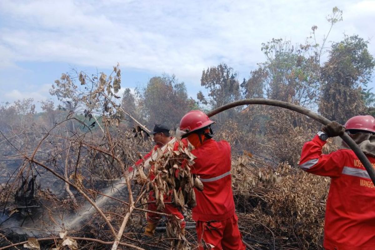 BPBD Sumsel: Karhulta di Sungai Rotan memasuki hari ke-22