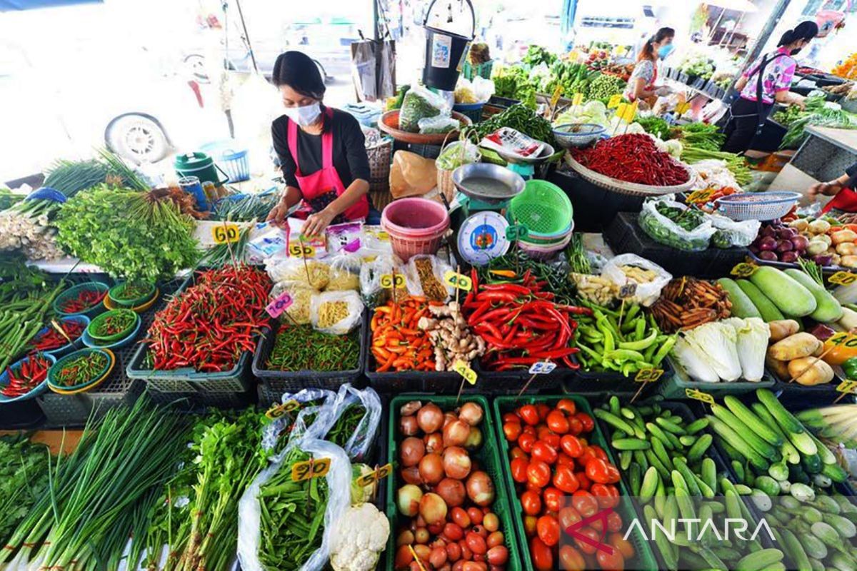 Thailand luncurkan skema stimulus tunai untuk bangkitkan ekonomi