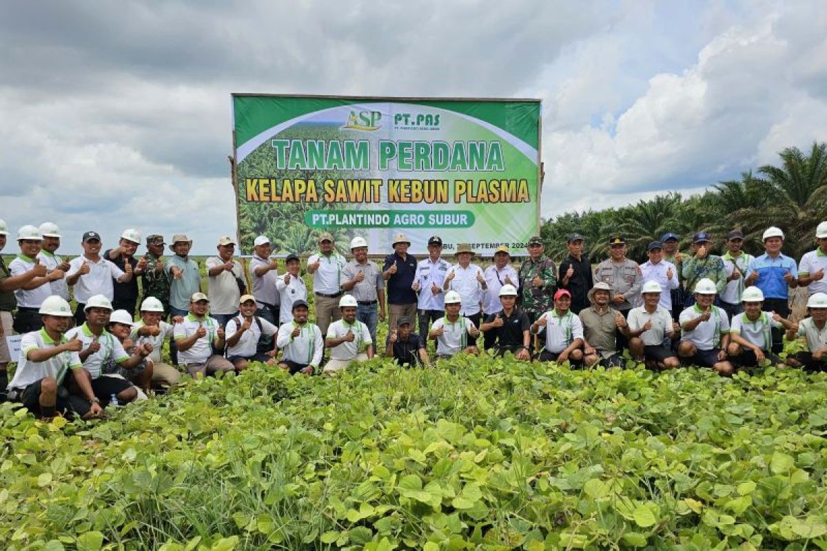 PT PAS tanam perdana kepala sawit kebun plasma