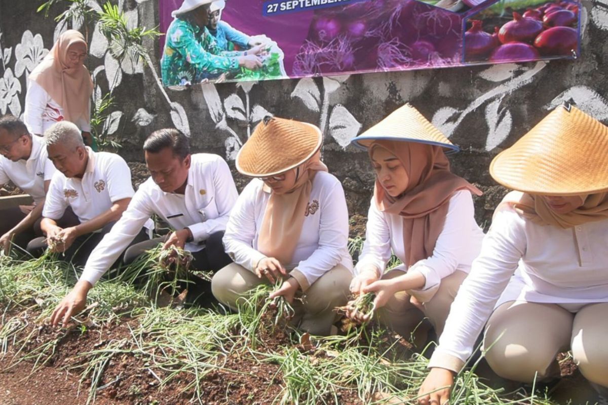 Wali Kota Jaksel ajak warga tanam bawang merah demi ketahanan pangan