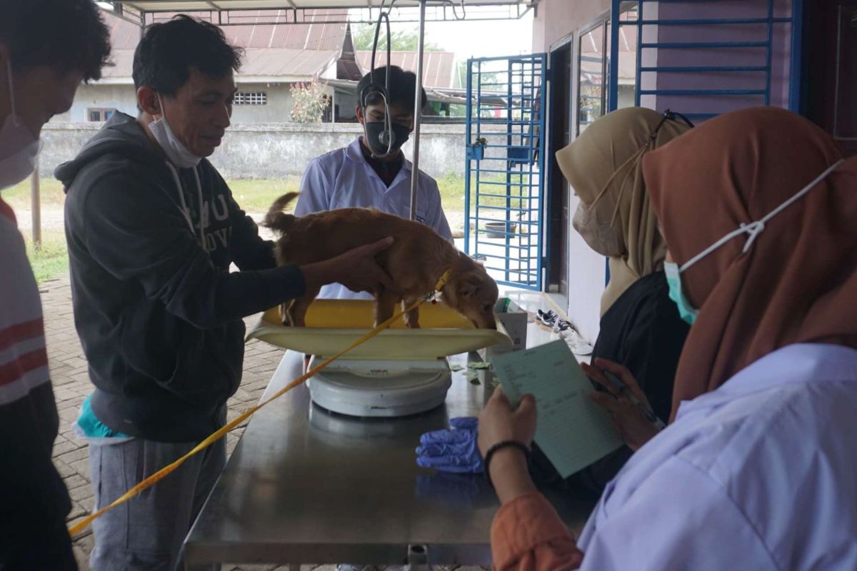 Vaksinasi rabies di Makassar
