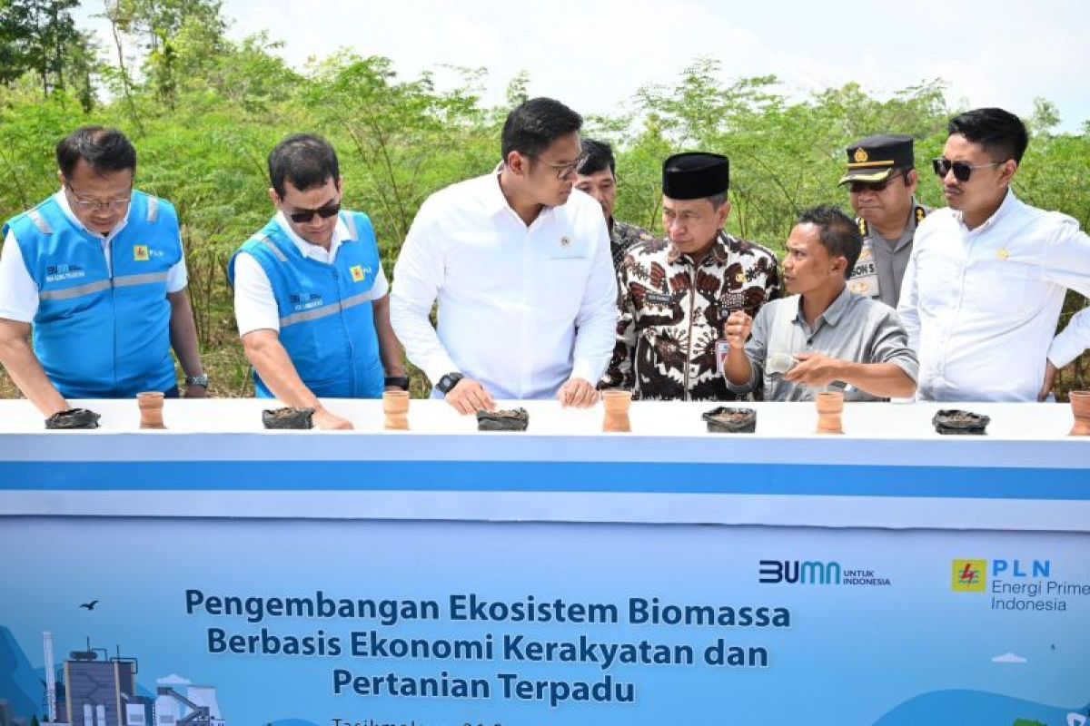 Terus kembangkan bahan Co-Firing Biomassa, PLN bersama Kementan luncurkan model pertanian terpadu