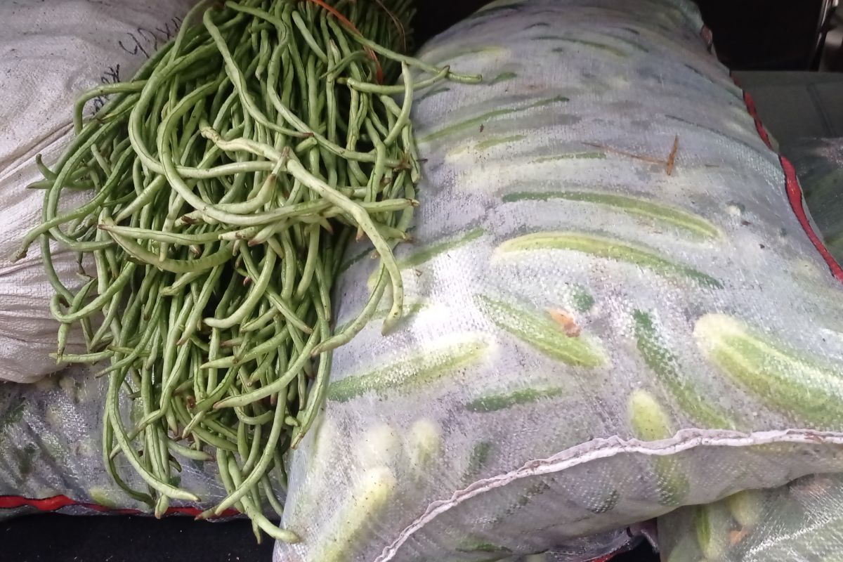 Harga hasil tani melonjak buat petani sayur di Lebak senang