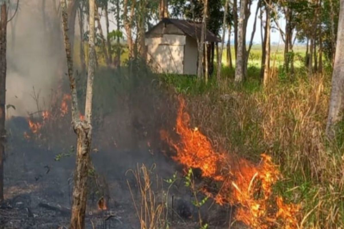 BPBD Banjar catat 108 hektare lahan terdampak karhutla