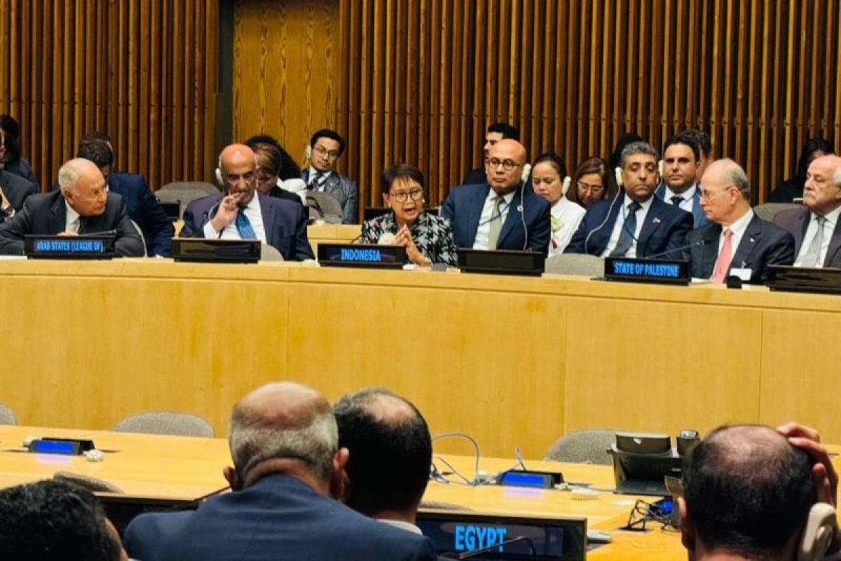 Indonesia calls for immediate recognition of Palestine at UN meeting