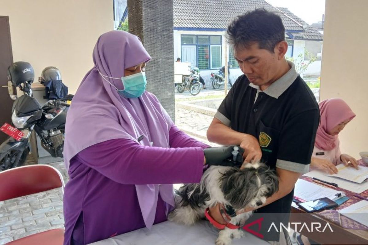 Pemkab Temanggung  vaksinasi rabies gratis ratusan hewan