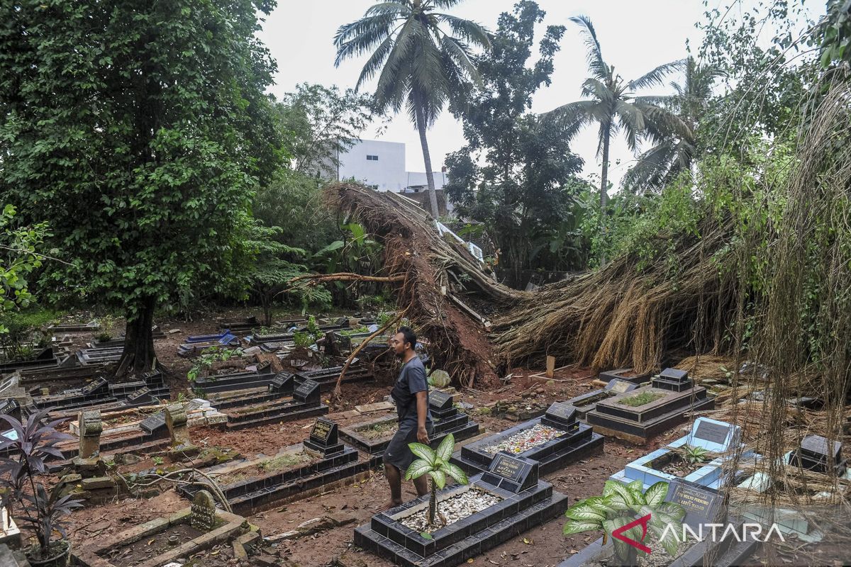 Bencana angin kencang di Lebak