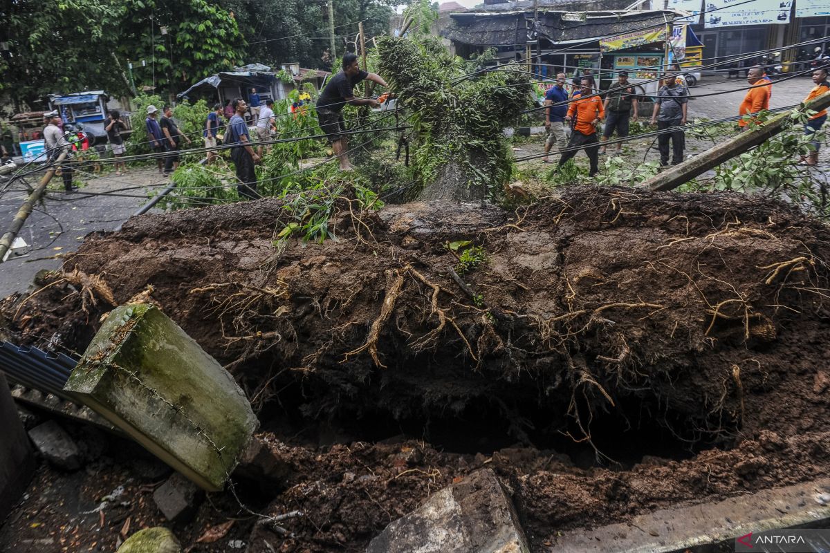 BPBD Lebak minta warga waspadai cuaca ekstrem