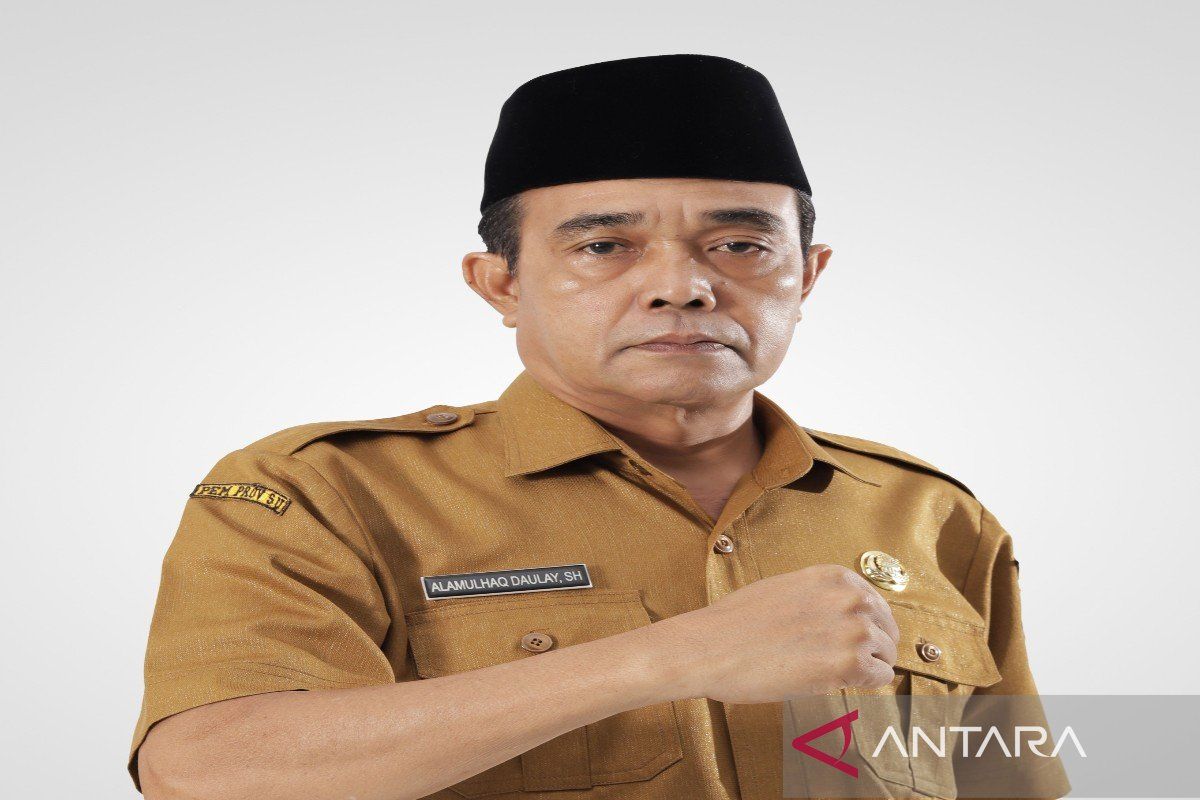 Pemkab Madina umumkan formasi PPPK tahun 2024, ini jumlah formasinya