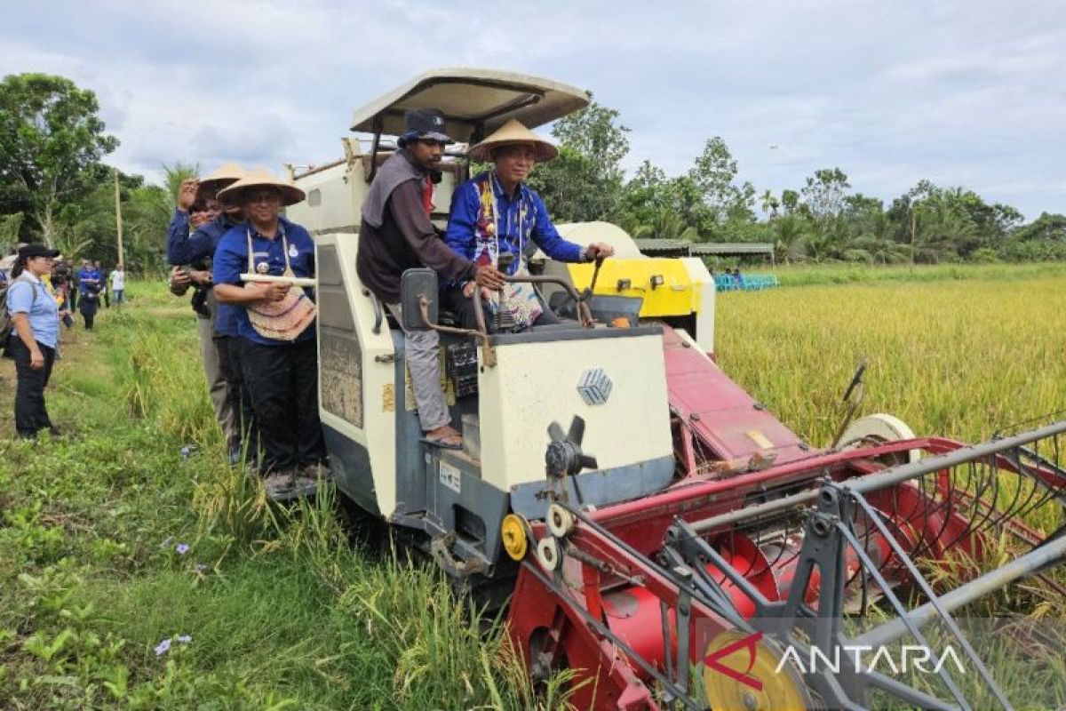 Pemprov Papua sebut pembangunan food estate harus sesuai RTRW