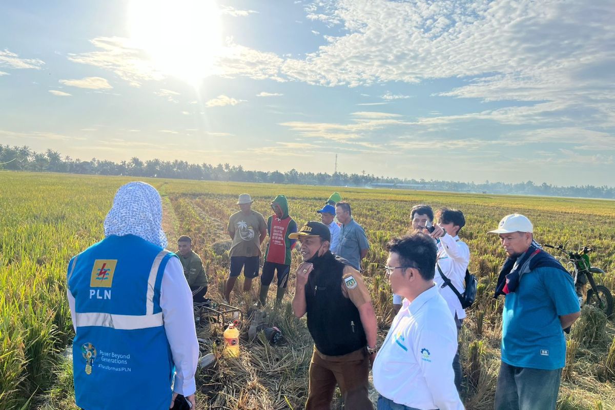 Listrik hijau tekan biaya produksi petani di Sulsel hingga 83 persen