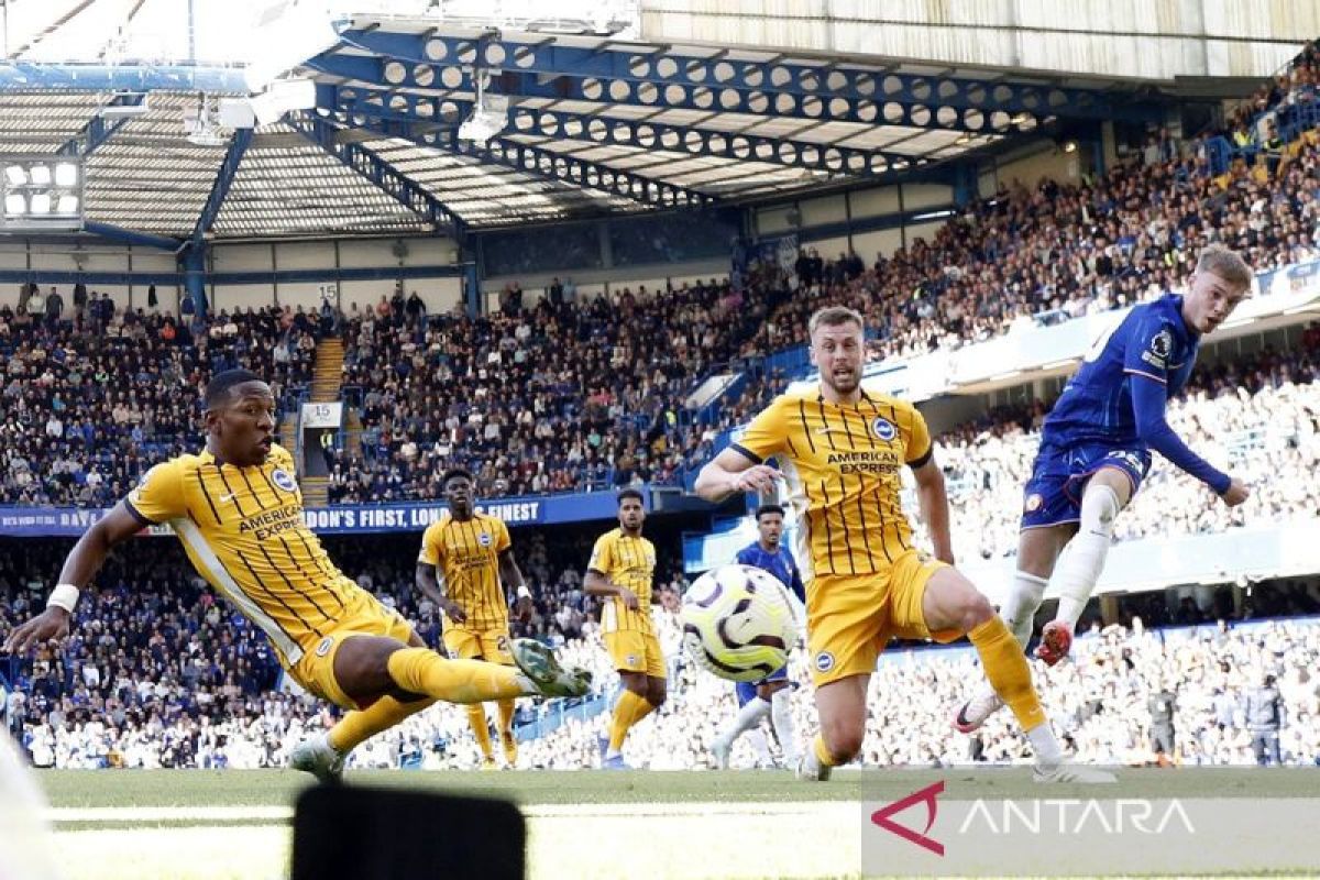 Liga Inggris - Empat gol Cole Palmer bawa Chelsea hajar Brighton 4-2