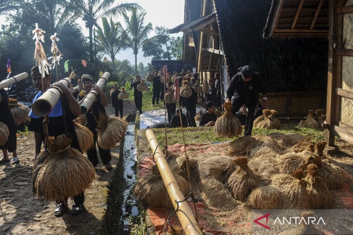 Gelaran tradisi Seren Taun Kasepuhan Cisungsang