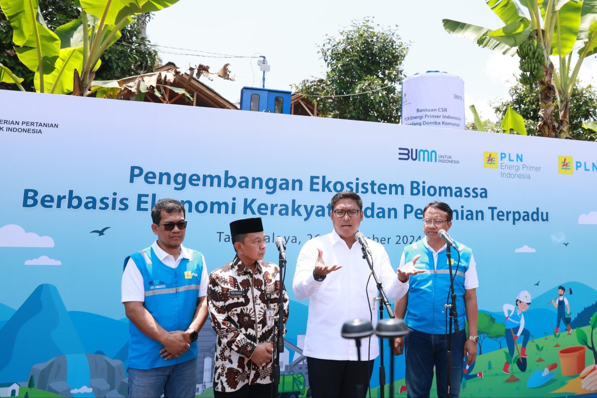 PLN kembangkan ekosistem biomassa berbasis pertanian terpadu