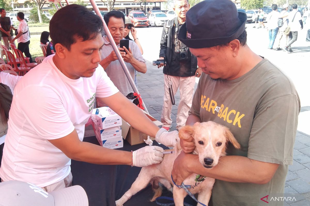 Pemprov Bali percepat vaksinasi anjing liar cegah rabies