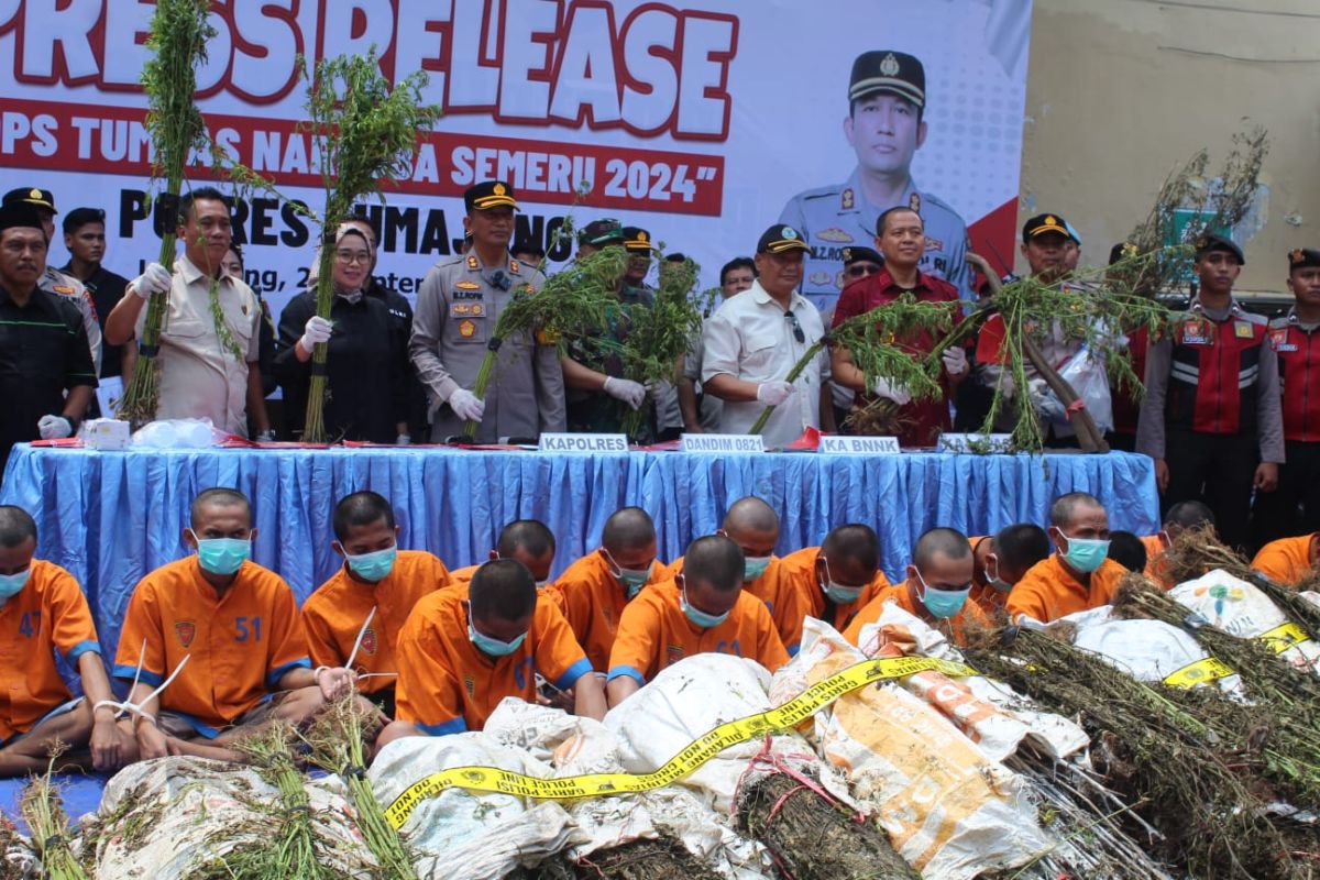 Polres Lumajang tetapkan satu DPO pemasok ganja di lereng Semeru