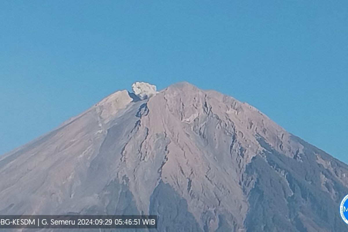 Erupsi Gunung Semeru hingga 500 meter di atas puncak