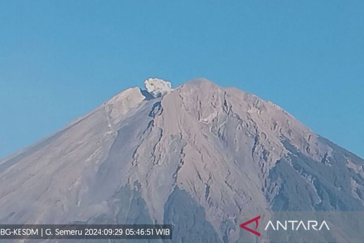 Erupsi Gunung Semeru hingga 500 meter di atas puncak