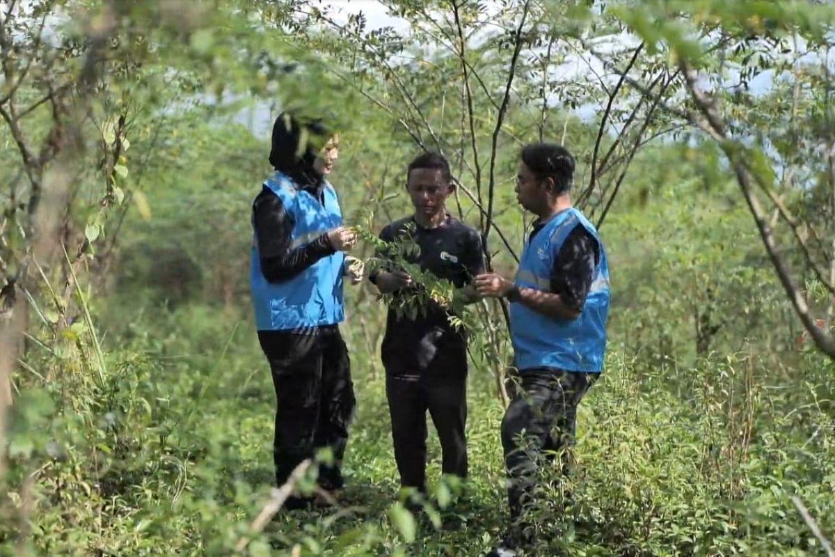 Biomassa PLN di Tasikmalaya: dikelola masyarakat, didukung pemerintah