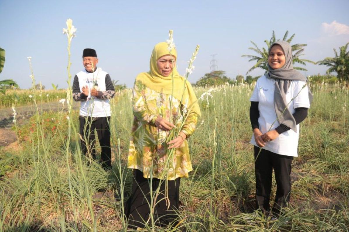 Khofifah sebut jumlah petani milenial Jatim tertinggi di Indonesia