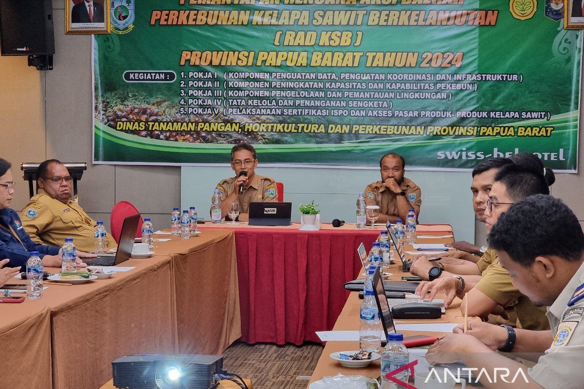 Pemprov Papua Barat mantapkan pelaksanaan rencana aksi sawit berkelanjutan