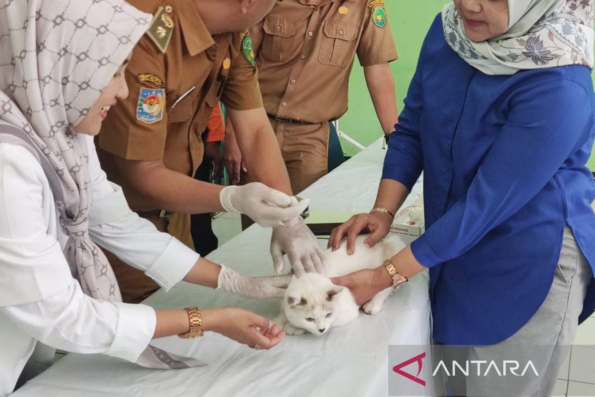 Ratusan hewan peliharaan di Kota Bengkulu terima vaksin rabies