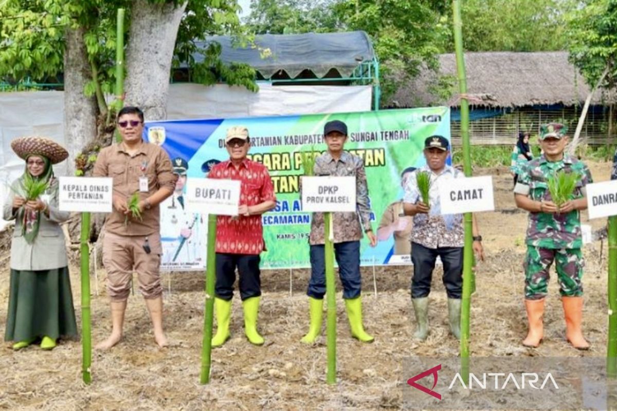 Pemkab HST percepat musim tanam padi di areal rawan banjir