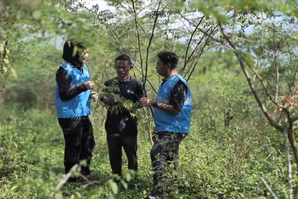 Pengembangan Biomassa PLN di Tasikmalaya dikelola masyarakat, didukung pemerintah