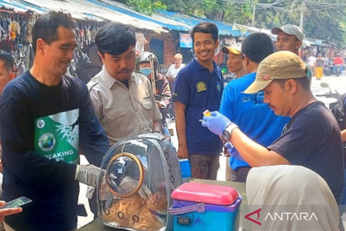 Jakpus menggiatkan vaksinasi HPR pertahankan status bebas rabies