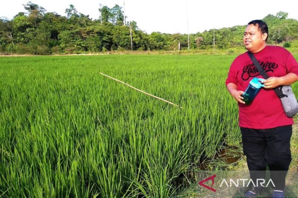 Petani Kaltim makin sejahtera  tergambar dari kenaikan NTP