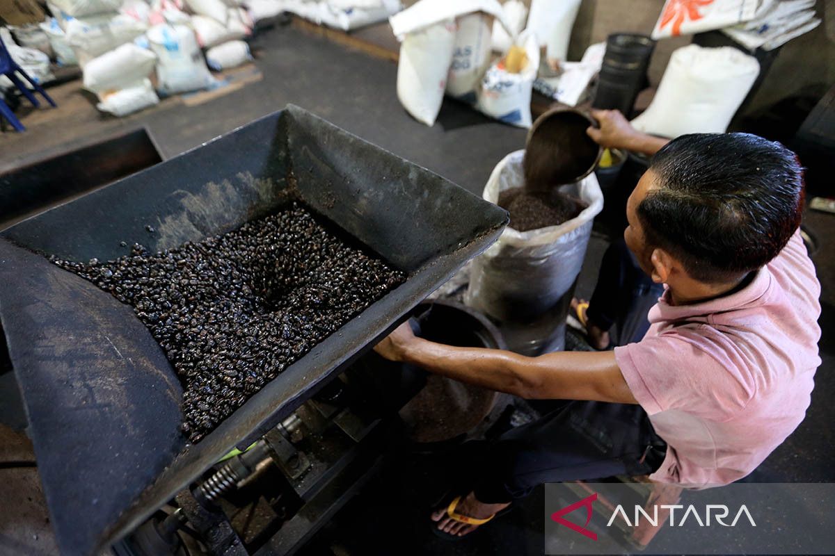 FOTO- UMKM kopi tradisional Aceh